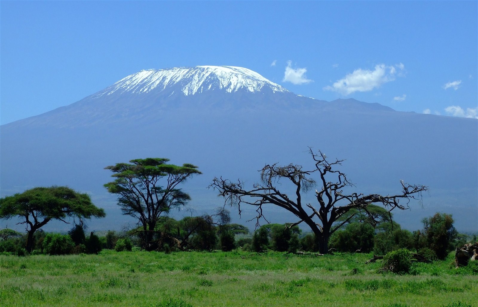 Kilimanjaro New7Wonders Of Nature